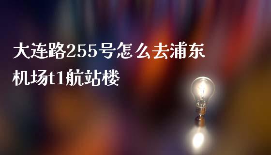 大连路255号怎么去浦东机场t1航站楼_https://www.gongyisiwang.com_焦炭期货手续费_第1张