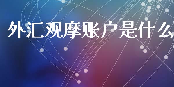 外汇观摩账户是什么_https://www.gongyisiwang.com_广发期货手续费_第1张