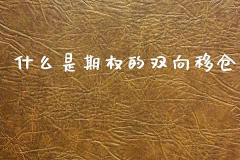 什么是期权的双向移仓_https://www.gongyisiwang.com_恒指期货_第1张