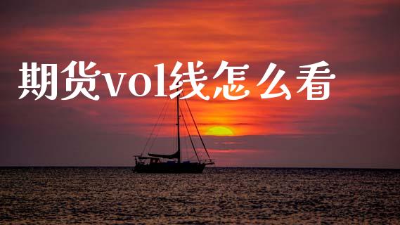 期货vol线怎么看_https://www.gongyisiwang.com_期货公司手续费排名_第1张