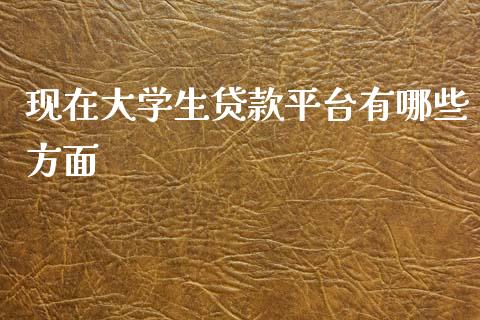 现在大学生贷款平台有哪些方面_https://www.gongyisiwang.com_原油期货_第1张