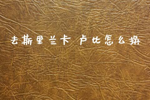 去斯里兰卡 卢比怎么换_https://www.gongyisiwang.com_广发期货手续费_第1张