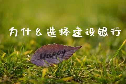 为什么选择建设银行_https://www.gongyisiwang.com_股指期货交易手续费_第1张