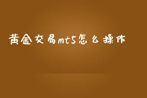 黄金交易mt5怎么操作_https://www.gongyisiwang.com_广发期货手续费_第1张