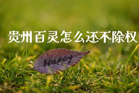 贵州百灵怎么还不除权_https://www.gongyisiwang.com_期货公司手续费排名_第1张