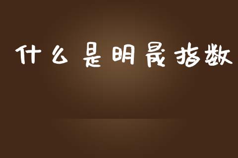 什么是明晟指数_https://www.gongyisiwang.com_原油期货_第1张