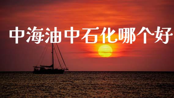 中海油中石化哪个好_https://www.gongyisiwang.com_原油期货_第1张
