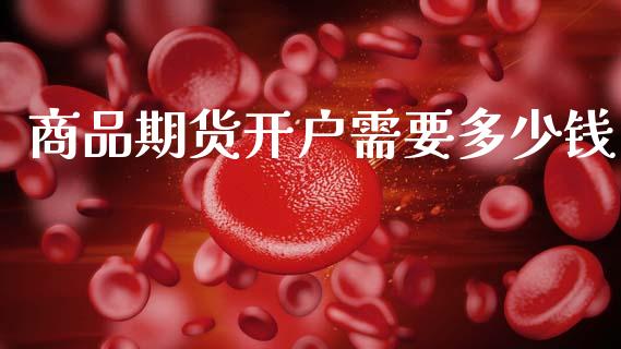 商品期货开户需要多少钱_https://www.gongyisiwang.com_原油期货_第1张