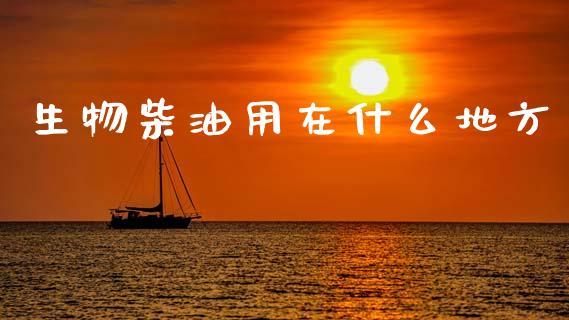 生物柴油用在什么地方_https://www.gongyisiwang.com_股指期货_第1张