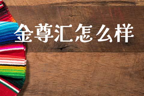 金尊汇怎么样_https://www.gongyisiwang.com_期货公司手续费排名_第1张