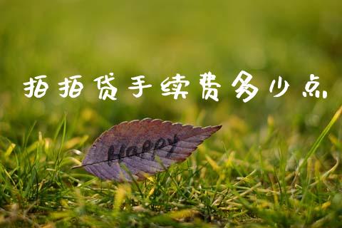 拍拍贷手续费多少点_https://www.gongyisiwang.com_原油期货_第1张