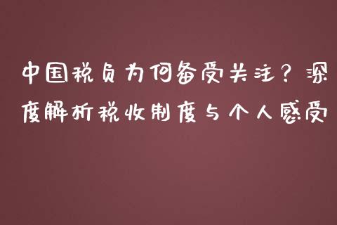 中国税负为何备受关注？深度解析税收制度与个人感受_https://www.gongyisiwang.com_广发期货手续费_第1张