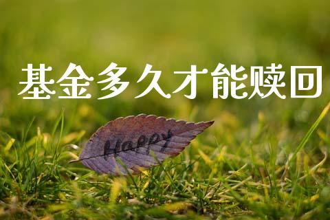 基金多久才能赎回_https://www.gongyisiwang.com_广发期货手续费_第1张