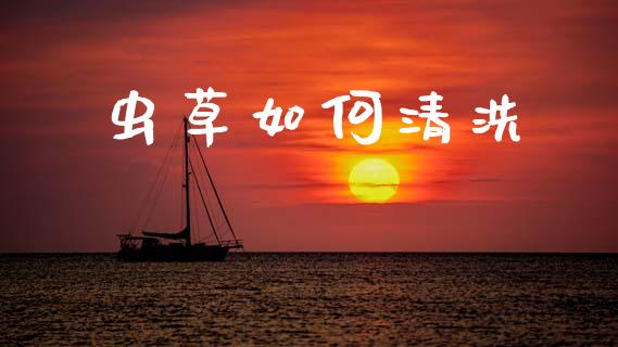 虫草如何清洗_https://www.gongyisiwang.com_股指期货交易手续费_第1张