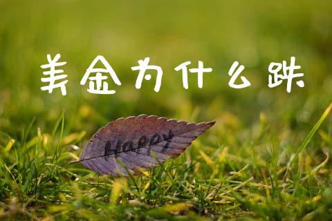 美金为什么跌_https://www.gongyisiwang.com_道指_第1张