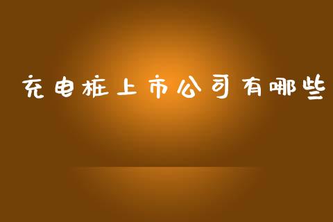 充电桩上市公司有哪些_https://www.gongyisiwang.com_道指_第1张