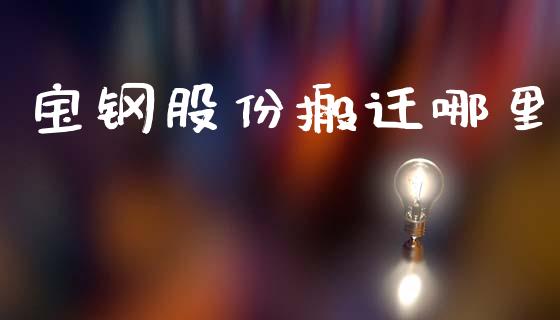 宝钢股份搬迁哪里_https://www.gongyisiwang.com_焦炭期货手续费_第1张