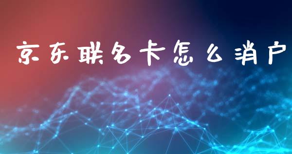 京东联名卡怎么消户_https://www.gongyisiwang.com_股指期货交易手续费_第1张