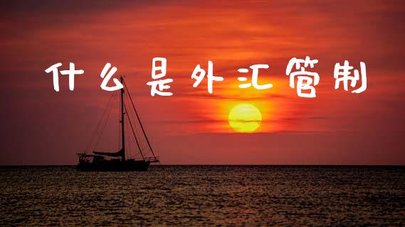 什么是外汇管制_https://www.gongyisiwang.com_恒指期货_第1张