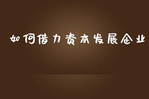 如何借力资本发展企业_https://www.gongyisiwang.com_道指_第1张
