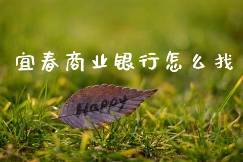 宜春商业银行怎么找_https://www.gongyisiwang.com_恒指期货_第1张
