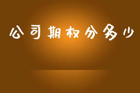 公司期权分多少_https://www.gongyisiwang.com_恒指期货_第1张