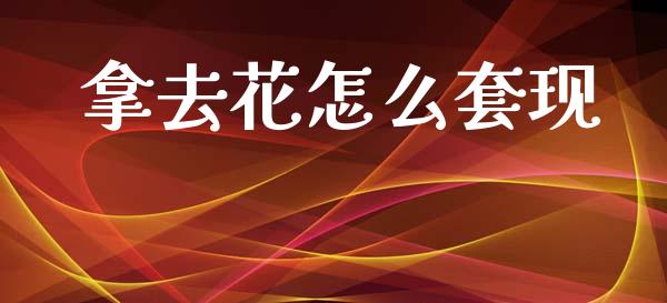 拿去花怎么套现_https://www.gongyisiwang.com_道指_第1张