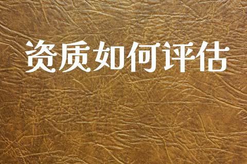 资质如何评估_https://www.gongyisiwang.com_广发期货手续费_第1张