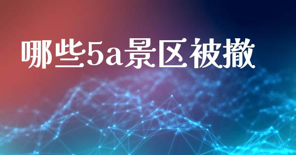 哪些5a景区被撤_https://www.gongyisiwang.com_道指_第1张