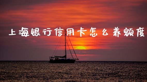 上海银行信用卡怎么养额度_https://www.gongyisiwang.com_股指期货交易手续费_第1张