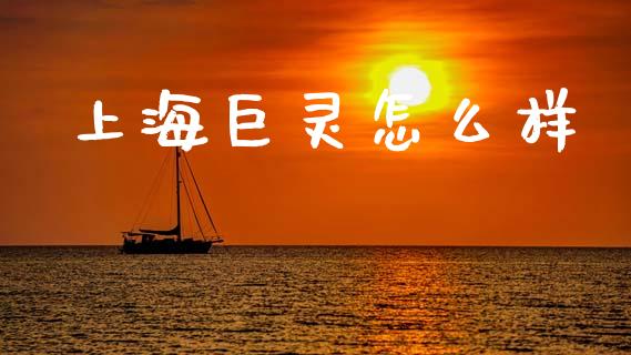 上海巨灵怎么样_https://www.gongyisiwang.com_广发期货手续费_第1张