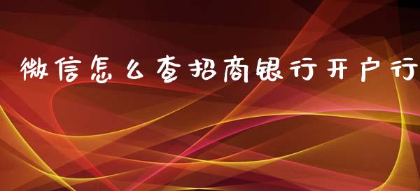 微信怎么查招商银行开户行_https://www.gongyisiwang.com_恒指期货_第1张