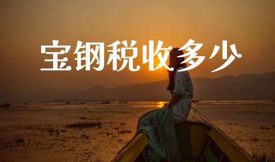 宝钢税收多少_https://www.gongyisiwang.com_股指期货_第1张