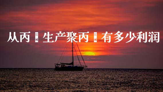 从丙烯生产聚丙烯有多少利润_https://www.gongyisiwang.com_道指_第1张