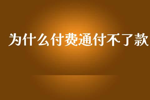 为什么付费通付不了款_https://www.gongyisiwang.com_恒指期货_第1张