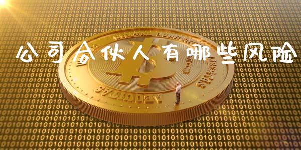 公司合伙人有哪些风险_https://www.gongyisiwang.com_道指_第1张