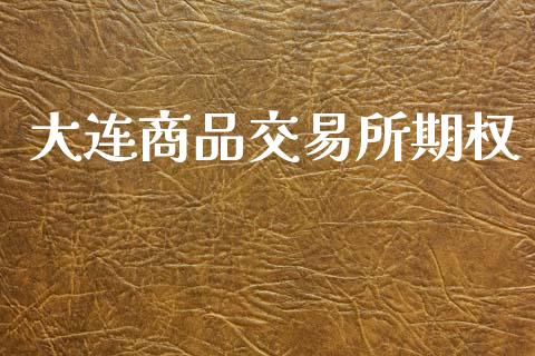 大连商品交易所期权_https://www.gongyisiwang.com_期货公司手续费排名_第1张