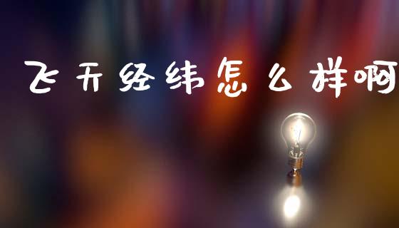 飞天经纬怎么样啊_https://www.gongyisiwang.com_焦炭期货手续费_第1张