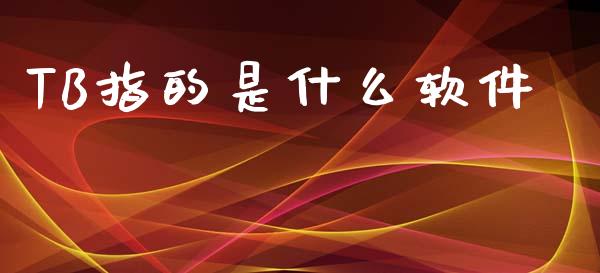 TB指的是什么软件_https://www.gongyisiwang.com_期货公司手续费排名_第1张