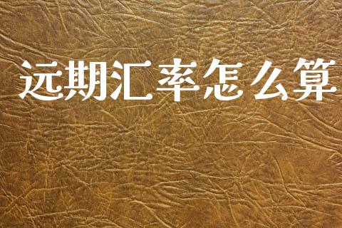 远期汇率怎么算_https://www.gongyisiwang.com_股指期货_第1张