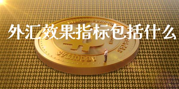 外汇效果指标包括什么_https://www.gongyisiwang.com_股指期货交易手续费_第1张