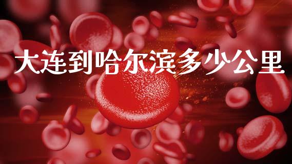 大连到哈尔滨多少公里_https://www.gongyisiwang.com_焦炭期货手续费_第1张