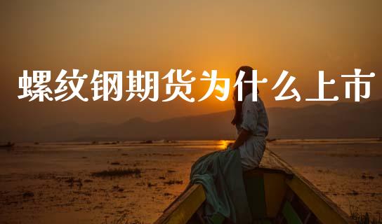 螺纹钢期货为什么上市_https://www.gongyisiwang.com_股指期货_第1张