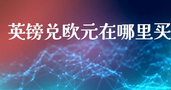 英镑兑欧元在哪里买_https://www.gongyisiwang.com_原油期货_第1张
