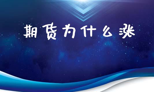 期货为什么涨_https://www.gongyisiwang.com_股指期货交易手续费_第1张
