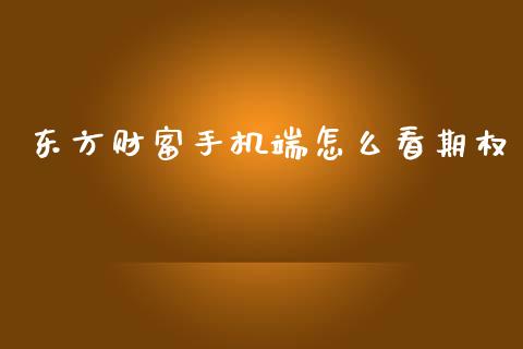 东方财富手机端怎么看期权_https://www.gongyisiwang.com_道指_第1张