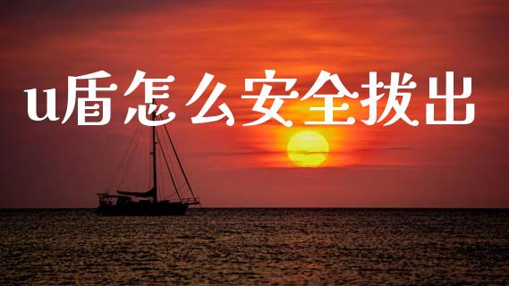 u盾怎么安全拔出_https://www.gongyisiwang.com_原油期货_第1张