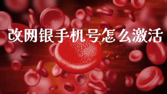改网银手机号怎么激活_https://www.gongyisiwang.com_期货公司手续费排名_第1张