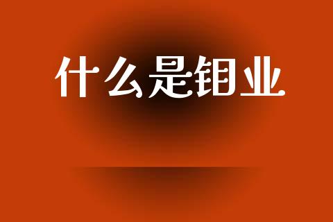 什么是钼业_https://www.gongyisiwang.com_期货公司手续费排名_第1张