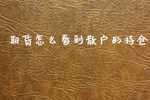 期货怎么看到散户的持仓_https://www.gongyisiwang.com_原油期货_第1张